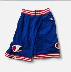 Champion Mesh Basketball Shorts Blue Red Striped Size Small
